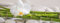 Eurographics DG-UWE1050 Deco Glass, Glasbild, White Bambo, 30 x 80 cm