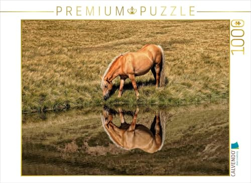 CALVENDO Puzzle EIN Motiv aus dem Kalender Pferde - Hobby und Leidenschaft | 1000 Teile Lege-Größe 64 x 48 cm Foto-Puzzle für glückliche Stunden