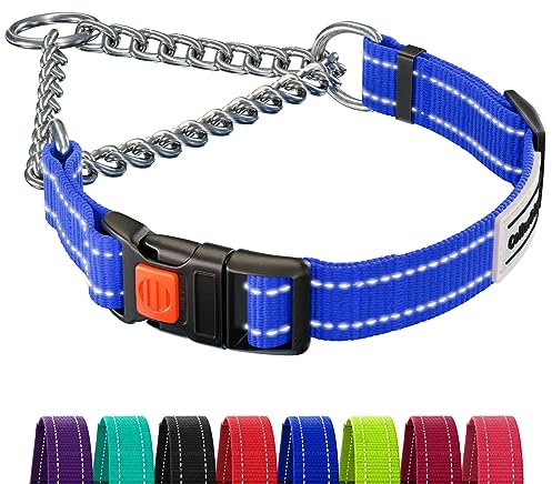 CollarDirect Reflektierendes Hundehalsband, Martingale-Halsbänder, seitliche Schnalle, Kette Training, verstellbare Haustier Halsbänder (Blau, L, 41-54 cm)
