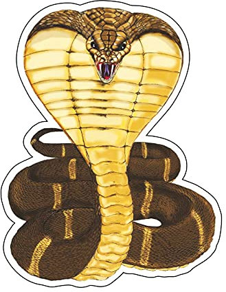 Expelium-Aufkleber, Cobra aus PVC, geeignet für Auto, Motorrad, Wohnmobil, PC