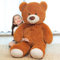 SNOWOLF Teddybär, niedliches Stofftier, Plüschtier, 130 cm, großer Bär, Kuschelpuppe, Geschenk für Kinder, Jungen, Mädchen, Geburtstag, Weihnachten, Valentinstag (1.3m, Dunkelbraun)