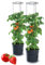 Tymar Tomatentopf, Tomatenkübel, Tomatenpflanze, Tomaten Balkon, mit Rankhilfe Rangitter, mit wasserspeicher (2 Stück, ø 40 cm)