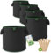 TTL Garden Lot de 5 sacs de plantation en tissu non tissé - 12 l - Sacs de plantation 300 g/m² - 300 g/m² - Sacs de culture pour balcon, terrasse, serre, jardin