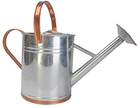 Panacea Products 84895 Galvanized Steel Watering Can with Accent, Silver/Copper