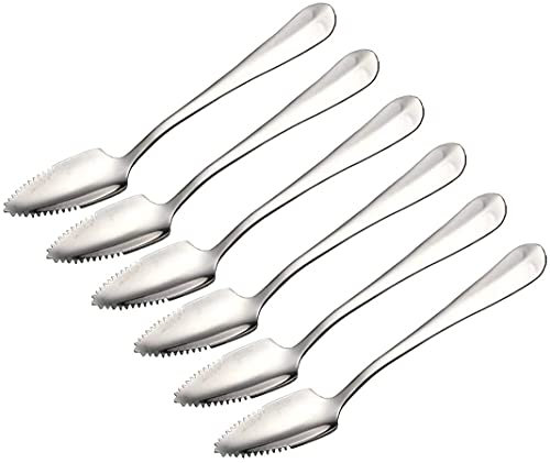 Cucchiai da pompelmo in acciaio inox, per agrumi, kiwi, insalate e dessert, set da 6