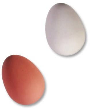 MIK Funshopping Flummi-Ei Crazy Egg - zum Verrücktwerden!