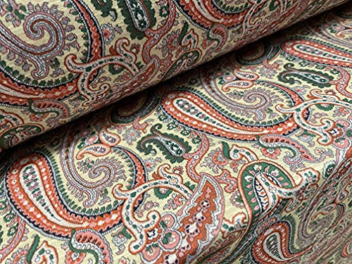 Slub Single Jersey Stoff, Meterware – Paisley Print – Stroh, Rot & Grün