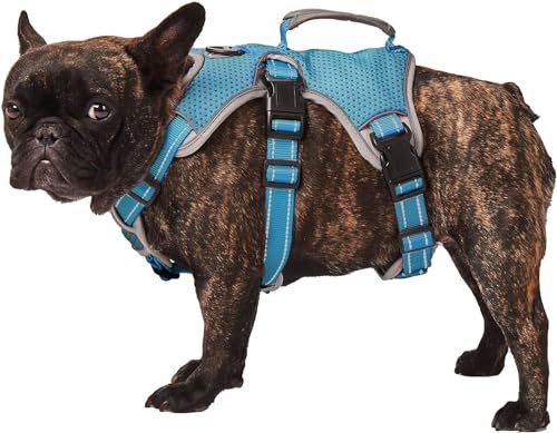 Paworld Sicherheitsgeschirr Hund Ausbruchsicher, Panikgeschirr für Hunde, Mehrzweck-Hundegeschirr, Reflektierend, Verstellbare Weste mit Griff, Hundegeschirr für Große/Mittelgroß Hunde (Blau, XL)