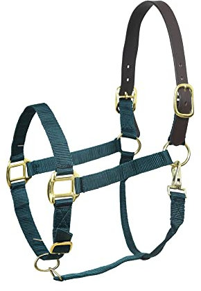 Sie Pferdehalfter, verstellbar, Nylon, Grün