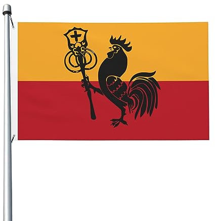 Bandiera bifacciale della bandiera della Romagna Bandiera durevole per esterni 3x5 piedi Banner per patio Bandiere decorative per interni Divertenti 3by5 Bandiere per feste in casa