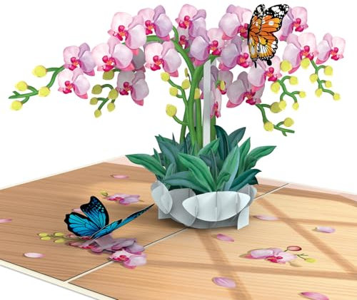 papercrush® Pop-Up Karte Orchideen mit Schmetterling - Edle 3D Geburtstagskarte mit Blüten und Schmetterling für Frauen - Besondere Glückwunschkarte zum Geburtstag & Jahrestag, Genesungskarte