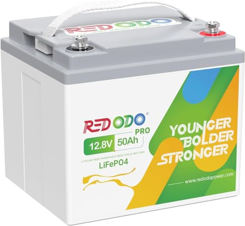 Redodo 12,8V 50Ah Pro LiFePO4 Lithium-Batterie, 50A BMS 640Wh Energie, Lithium Akku mit 4000+ Zyklen bei 100% DOD, Ersatzbatterie für weitverbreitet in Überwachungssystem