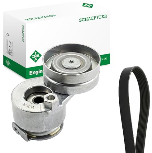 INA 529 0088 10 V-Ribbed Belt Set