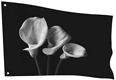 OTRAHCSD Flaggen, Calla-Lilien-Gartenflaggen, dekorative Flagge für Heimdekoration, 60 x 90 cm
