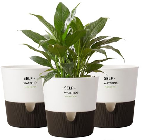 Bamworld Blumentopf Selbstbewässernder Set, Kräuter, Basilikum moderner Hydrokultur-Topf für Küche auf der Fensterbank, Weiß，Ø16.5cm 3er-Pack