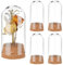 PH PandaHall 4pcs cloche à Dôme en Verre, Pot de Cloche en Verre avec Base en Liège Mini Bouteilles en Verre Bouteilles de Décoration en Dôme pour le Stockage de Fleurs, Décoration de Fête, 3.7x7.8cm