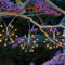 Garden Mile Starburst Solar String Lights Outdoor Garden 150 LEDs 4.7m Waterproof 10pc String Lights Solar Garden Decorations for Indoor Outdoor Balcony Lights for Patio, Gazebo and Wedding Décor