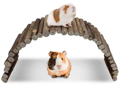 Hamiledyi Hamster Bridge Wood Hamster Climbing Ladder Rat Ladder Bridge Small Animals Cage Accessories for Dwarf Syrian Hamster Mice Gerbils Sugar Glider Wooden Hideout Toy (25.6×3.5IN)