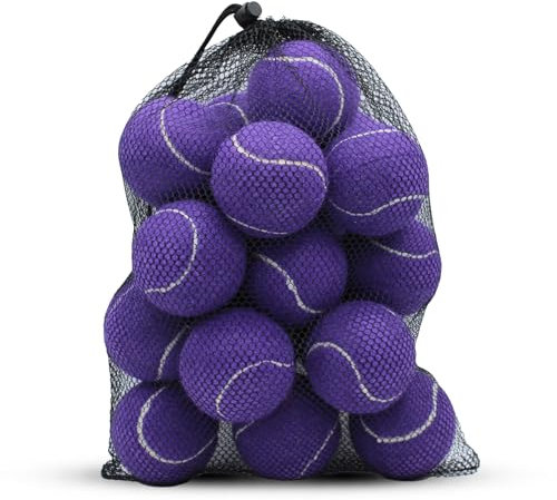 SHYUJAJIE Tennisbälle, 20 Stück, Trainings-Tennisbälle, hohe Elastizität, Übungstennis für Anfänger, Übungsbälle für Haustiere, Hunde, Violett