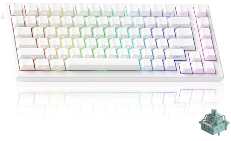 Akko TAC75 HE 8.000 Hz Rapid Trigger Gaming-Tastatur, 75% kabelgebunden, Hall-Effekt-Tastatur mit Magnetschalter, Einstellbarer Ansprechzeit, Snap-Tap, ARGB (Weiß glänzend, AstroAim-Schalter)