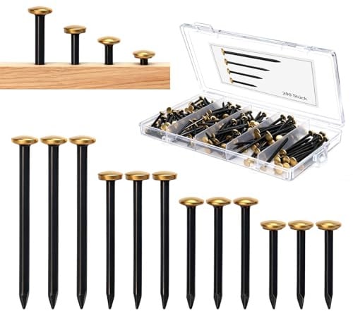 200 Stück Rostfreie Bildernägel Set (20/25/30/40mm) - Goldfarbenem Kopf Stahlnägel für Beton, Ziegel & Holz - Ohne Bohren - Schont die Wand -Verpackung 50 Stück pro Größe