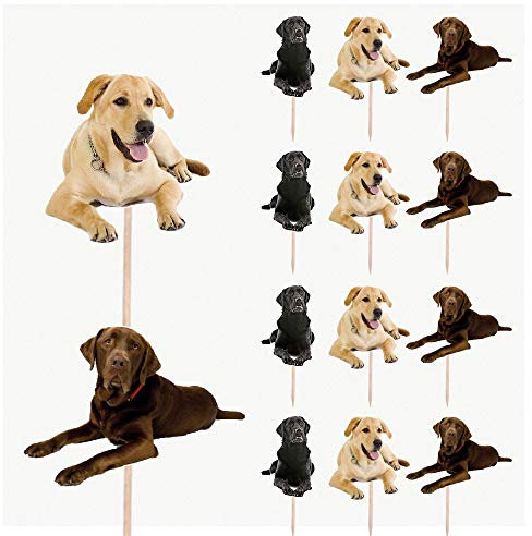 AK Giftshop Cupcake-Aufsätze, Labradore, legende Hunde, Geburtstagsparty, Essen, Cupcakes, Dekorationen (14 Stück)