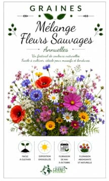 1000 graines melange fleurs fleurs sauvages - annuelle - attire les pollinisateurs