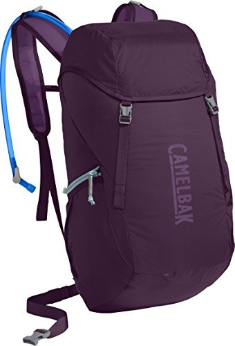Arete 22 85 oz Plum/Sunset Purple