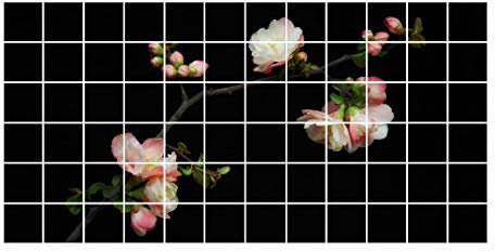 Fliesenaufkleber Blütenzweig Apfelbaum Fliesengröße 15 x 15cm, Größe 60 x 120cm