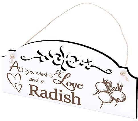 Schild Radieschen Deko 20x10cm - All you need is Love and a Radish - Holz Wanddeko Dekoration Wand