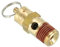 PATIKIL 1/4 Male NPT Safety Valve, Air Pressure Release Valve for Air Compressor, 175PSI Set Pressure
