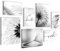 Novart Wandbilder Pusteblumen - KOMPLETT AUFHÄNGFERTIG - Schwarz Weiss Wohnzimmer Schlafzimmer Flur - 7 Moderne Mood-Bilder - N036071a