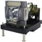 Visdia NP22LP/SPLAMP082 - Lampada di ricambio per proiettore NEC NP-PH1000U NP-PX700W NP-PX750U INFOCUS IN5552L IN5554L IN5555L