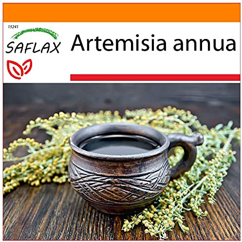 SAFLAX - Garden in the Bag - Heilpflanzen - Chinesischer Beifuß - 250 Samen - Mit Anzuchtsubstrat im praktischen, selbst aufstellenden Beutel - Artemisia annua