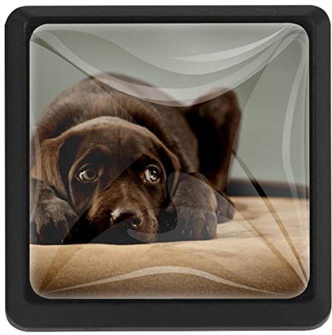 BUJOJUB Hunde und Tiere, 3 Stück Schubladenknöpfe, Schubladengriffe, Schrankknöpfe, Möbelknöpfe, Kommodenknöpfe für Küche Schrank