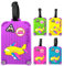 Lot de 5 étiquette bagage colorées avec carte d'identité, etiquettes à bagage en silicone, Etiquette Valise Voyage Avion Parfaites pour les voyageurs