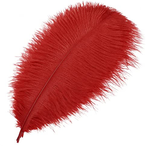 MWOOT 10 Stück Natürliche Straußenfedern, Strauß Feder Plume für Hochzeit Party Fest Tisch Herzstück Dekoration (Schwarz, 25-30 cm) (rot)