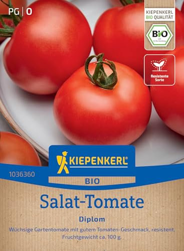 Kiepenkerl Salat-Tomatensamen Diplom 1036360 - frühe Sorte - hervorragendes Aroma - Tomatengeschmack - resistent - Saatgut, Samen Gemüse, Gemüsepflanzen
