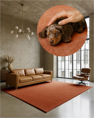 TEXMAXX Weicher Kurzflor Teppich Wohnzimmer mit rutschhemmender Rückseite (80 x 150 cm) - Modern für Flur, Esszimmer und als Schlafzimmer Teppich in Kupfer - Waschbar bis 30 Grad