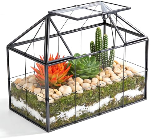 Mini serra davanzale in vetro piante terrario piccolo giardino di bottiglie fai da te