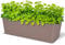 Albert Austin Rectangle Rattan Planter 30cm, Outdoor Plants Pot, Large Garden Planters, Plastic Resistant and Elegant (SAND)