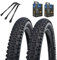 2 x Rapid Rob Fahrradreifen 29 x 2,10 Zoll 54-622 Schwarz Schlauch wählbar + MSZweirad Reifenheber (DV Schlauch, 29 x 2,10 Zoll (54-622))