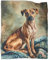 KWPGMDRY Rhodesian Ridgeback Decke Haushaltsgebrauch Wildcampen 3D Tiere Digitaldruck Plüsch Bettdecke Erwachsener Sofa Decke 70x80inch(180x200cm)