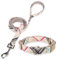 DILLYBUD Hundehalsband und Leine, Set für mittelgroße Hunde, verstellbares, weiches Welpenhalsband mit Schnellverschluss-Schnalle, 1,5 m, strapazierfähiges Nylon, passende Leine für Jungen, Mädchen