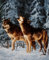 Natur-Fell-Shop Kuscheldecke Tagesdecke Decke Motiv Winter Wolf 160x200cm