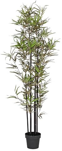 Blooming Artificial - Black Stem Bamboo Tree, Realistic Artificial Plant for Garden, Home, and Office, Year Round Decorative Foliage, UV and Water Resistant (Green) (170cm)