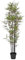 Blooming Artificial - Black Stem Bamboo Tree, Realistic Artificial Plant for Garden, Home, and Office, Year Round Decorative Foliage, UV and Water Resistant (Green) (170cm)