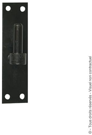 TORBEL Gond de volet sur platine bout droit - Diamètre x Hauteur (mm) : 14x180, Noir