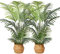 Kazeila Plantas Artificiales Decorativas 120cm Planta Artificial Grande Palmera Artificial Decoracion Interior Hogar Salon Jardin(2Pack)