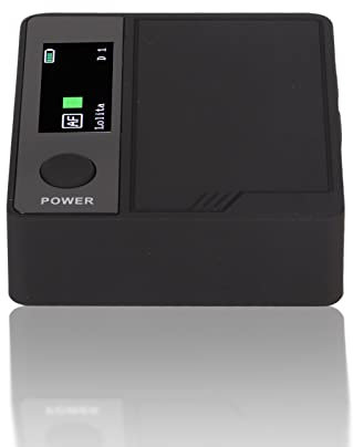 Tragbarer Live-Soundkarten-Sprachwechsler, 11 Soundeffekte, 500 MAh, Tragbarer Sprachwechsler, Farbdisplay, Sprachverzerrer für Handy, PC, Laptops, ABS